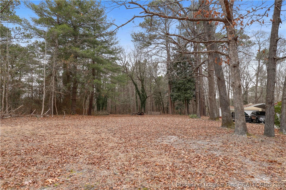 156 Connell Road Carthage, NC 28327 - Photo 33 of 43 a view of a yard with trees