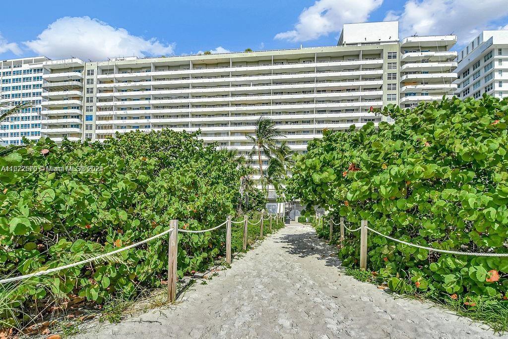 5555 Collins Avenue, Unit 5V Miami Beach, FL 33140 - Photo 29 of 46 a view of a balcony with a plant and plants