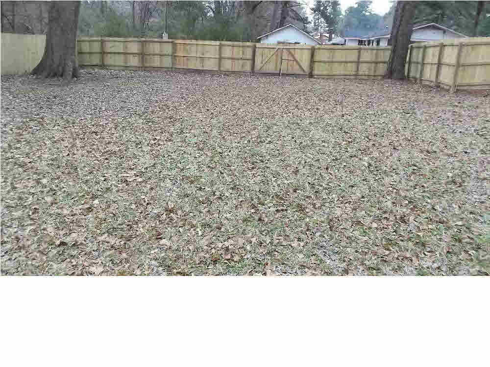 2262 Breckinridge Road Jackson, MS 39204 - Photo 2 of 13 Back Yard