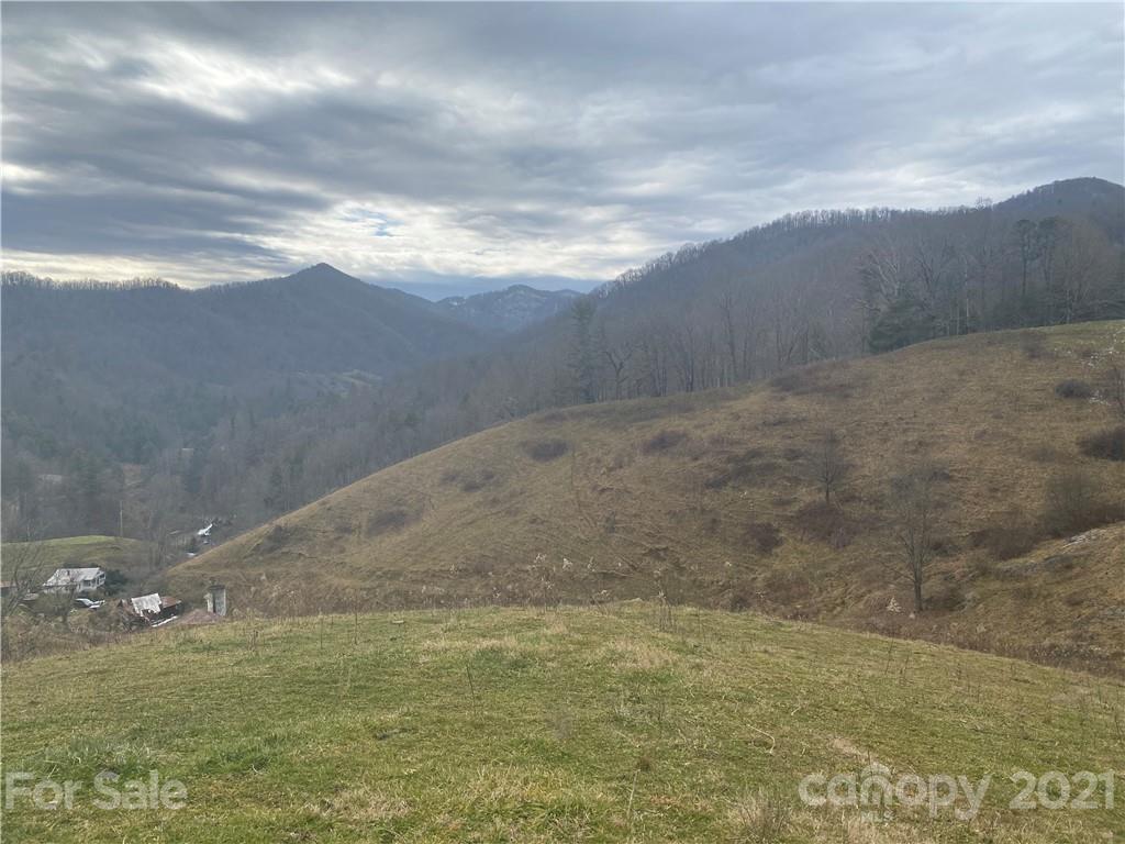 314 Upper Paw Paw Road Marshall, NC 28753 - Photo 1 of 15 Gallery Image 1