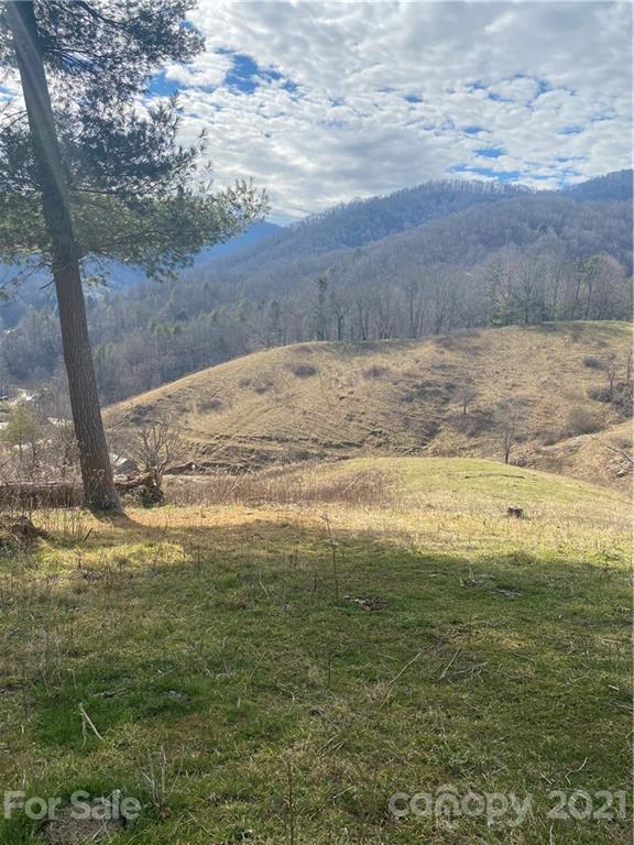 314 Upper Paw Paw Road Marshall, NC 28753 - Photo 2 of 15 Gallery Image 2