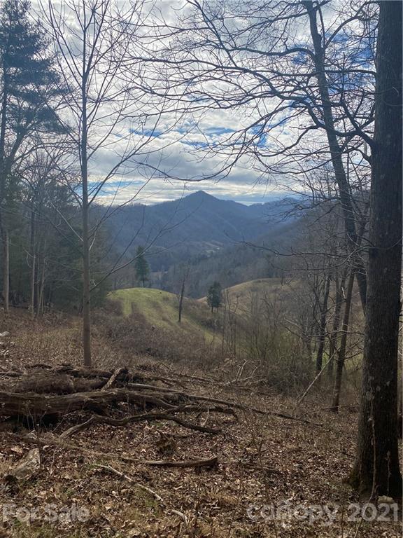 314 Upper Paw Paw Road Marshall, NC 28753 - Photo 11 of 15 Gallery Image 11
