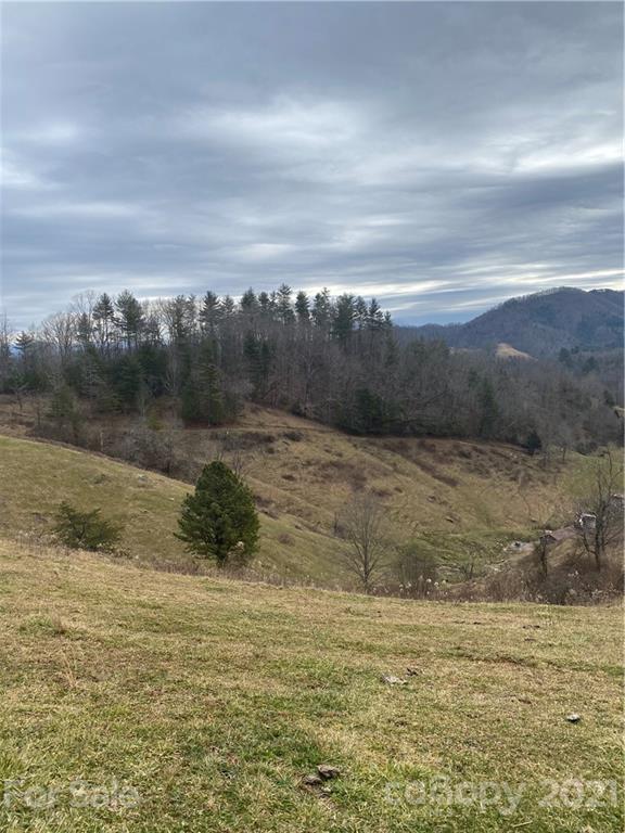 314 Upper Paw Paw Road Marshall, NC 28753 - Photo 14 of 15 Gallery Image 14