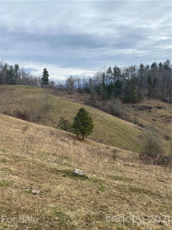 314 Upper Paw Paw Road Marshall, NC 28753 - Photo 10 of 15 Gallery Image 10
