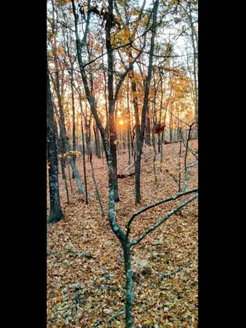a view of a yard with wooden fence and a bench