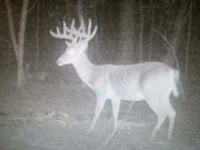a close view of a chandelier in a room
