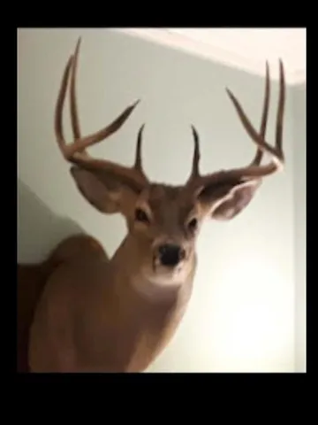 a view of a living room with furniture