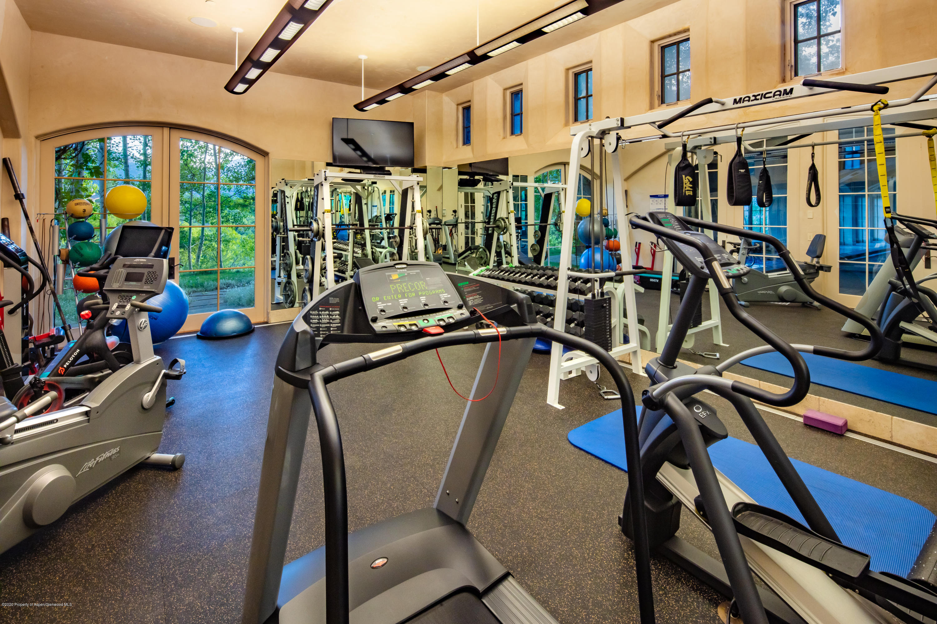 835 Red Mountain Road Aspen, CO 81612 - Photo 12 of 24 a view of a room with gym equipment