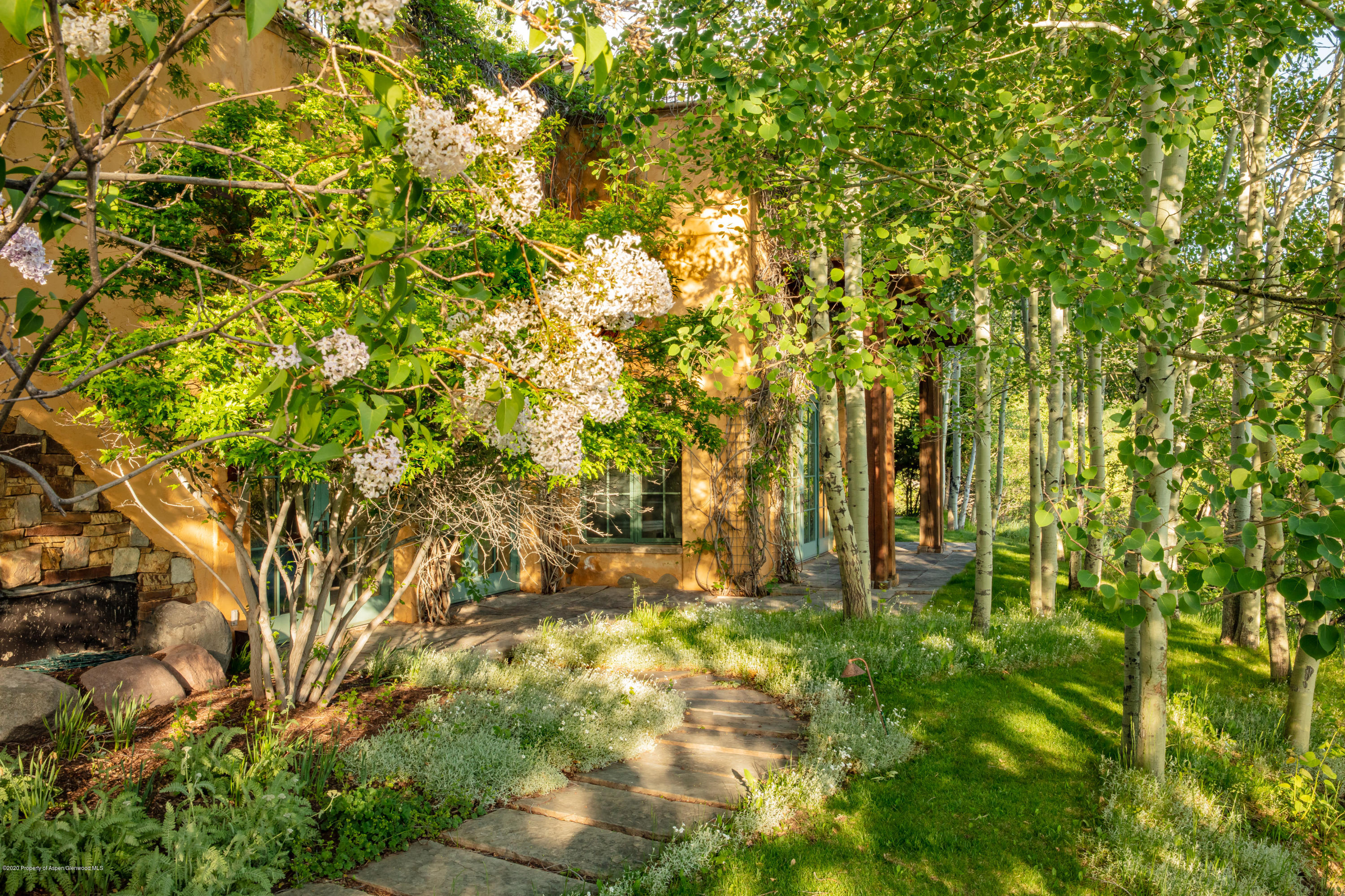 835 Red Mountain Road Aspen, CO 81612 - Photo 17 of 24 a view of yard