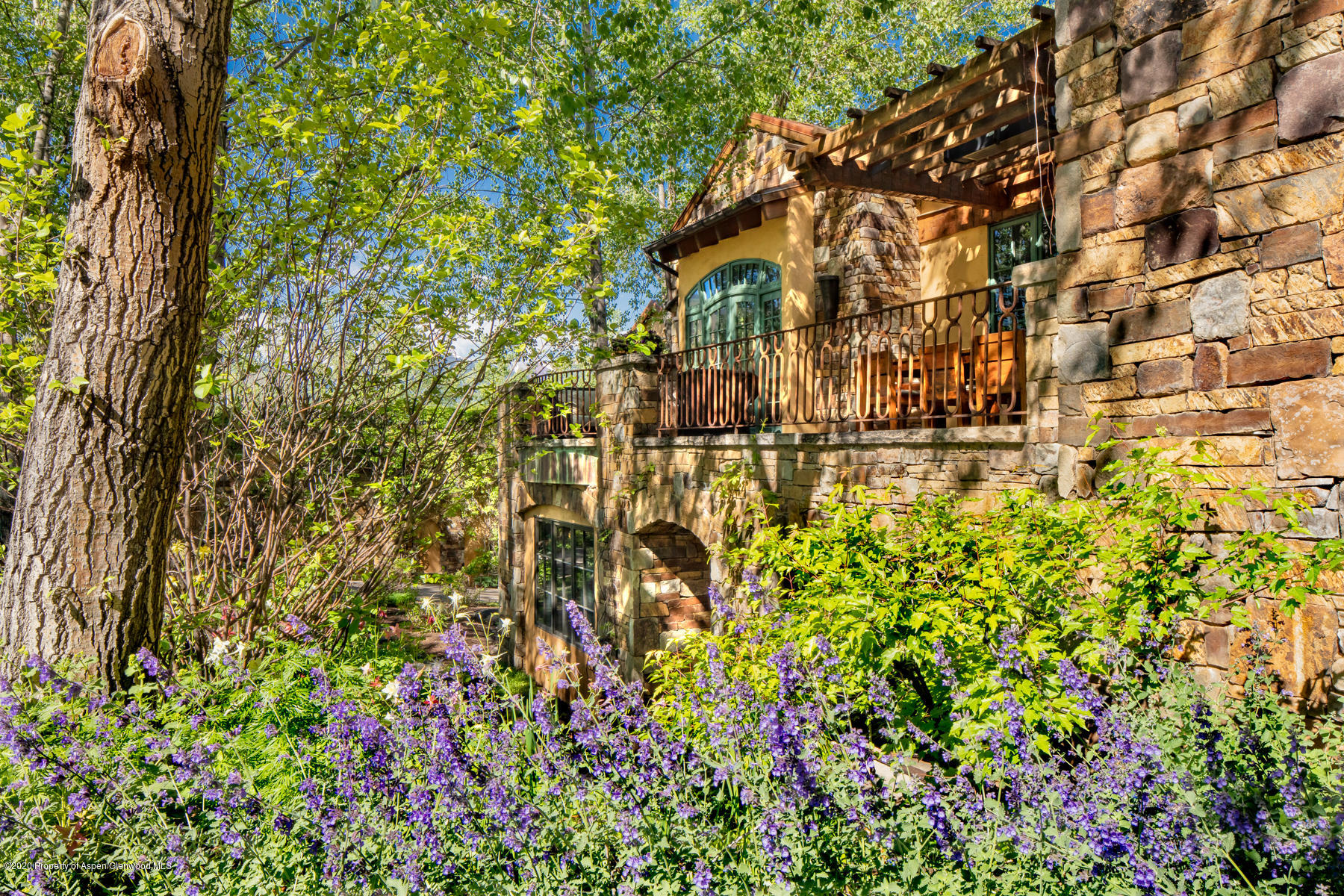 835 Red Mountain Road Aspen, CO 81612 - Photo 19 of 24 a view of a bunch of flowers