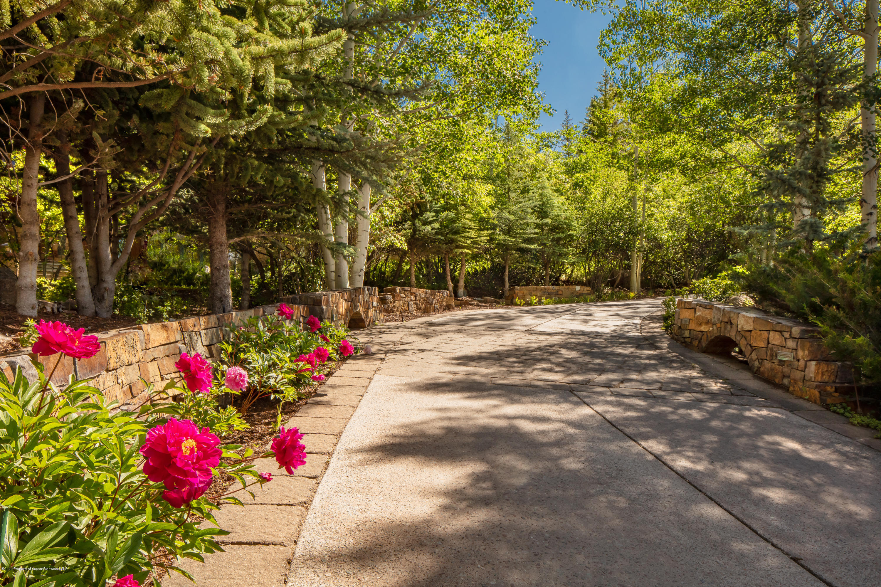 835 Red Mountain Road Aspen, CO 81612 - Photo 21 of 24 a backyard of a house with flower plants