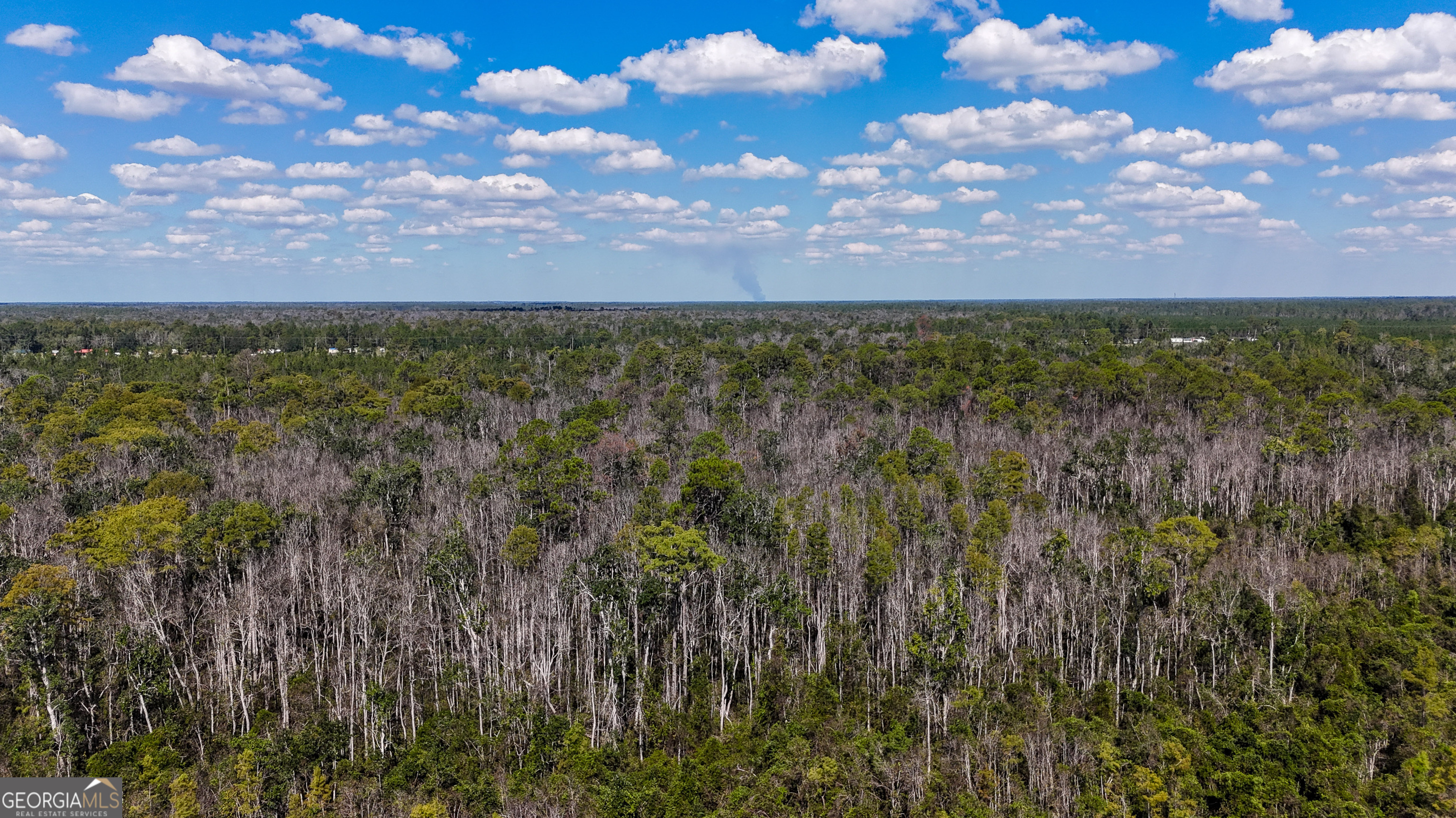 0 Highway 84, Unit 1 Homerville, GA 31634 - Photo 5 of 10 a view of outdoor space and yard