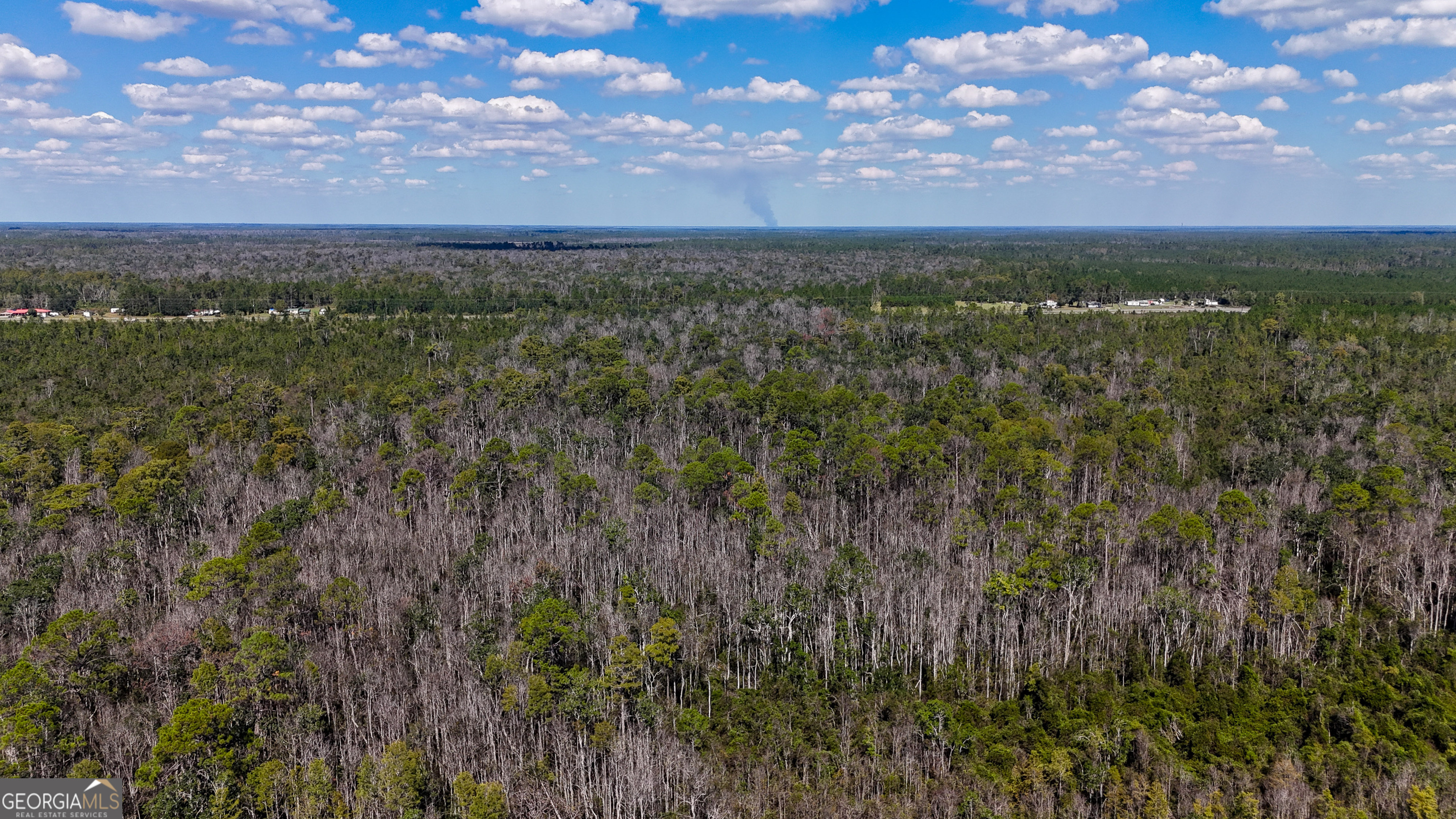 0 Highway 84, Unit 1 Homerville, GA 31634 - Photo 6 of 10 a view of a city with lush green forest