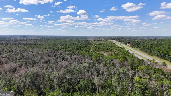 a view of a city with lush green forest