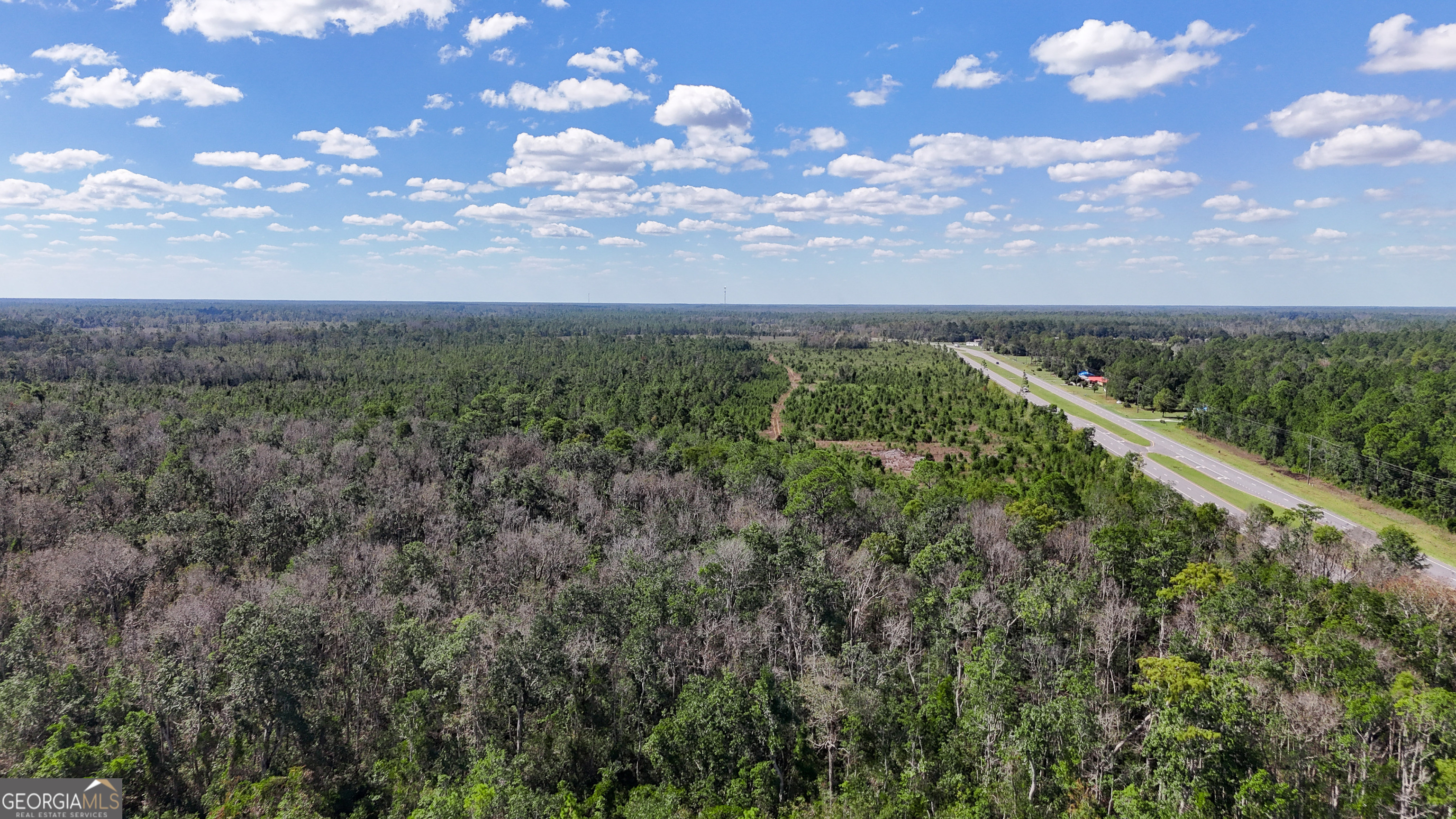 0 Highway 84, Unit 1 Homerville, GA 31634 - Photo 7 of 10 a view of a city with lush green forest