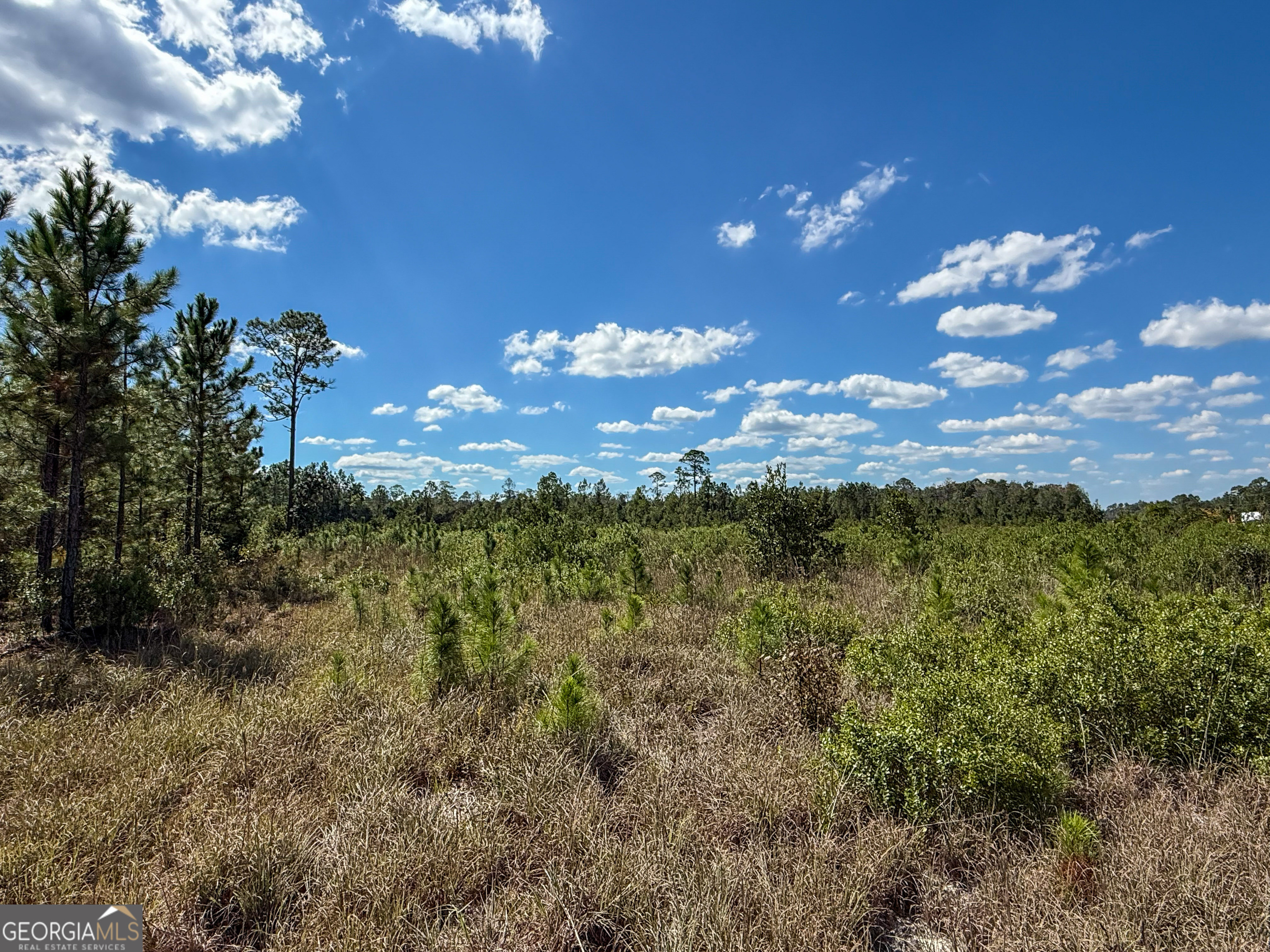 0 Highway 84, Unit 1 Homerville, GA 31634 - Photo 8 of 10 a view of a city