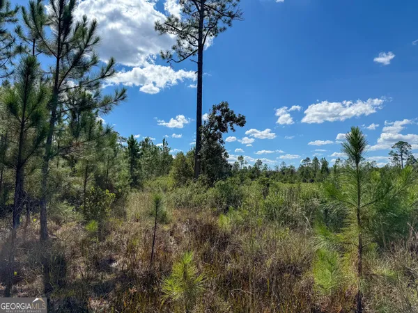 a view of a houses with a yard
