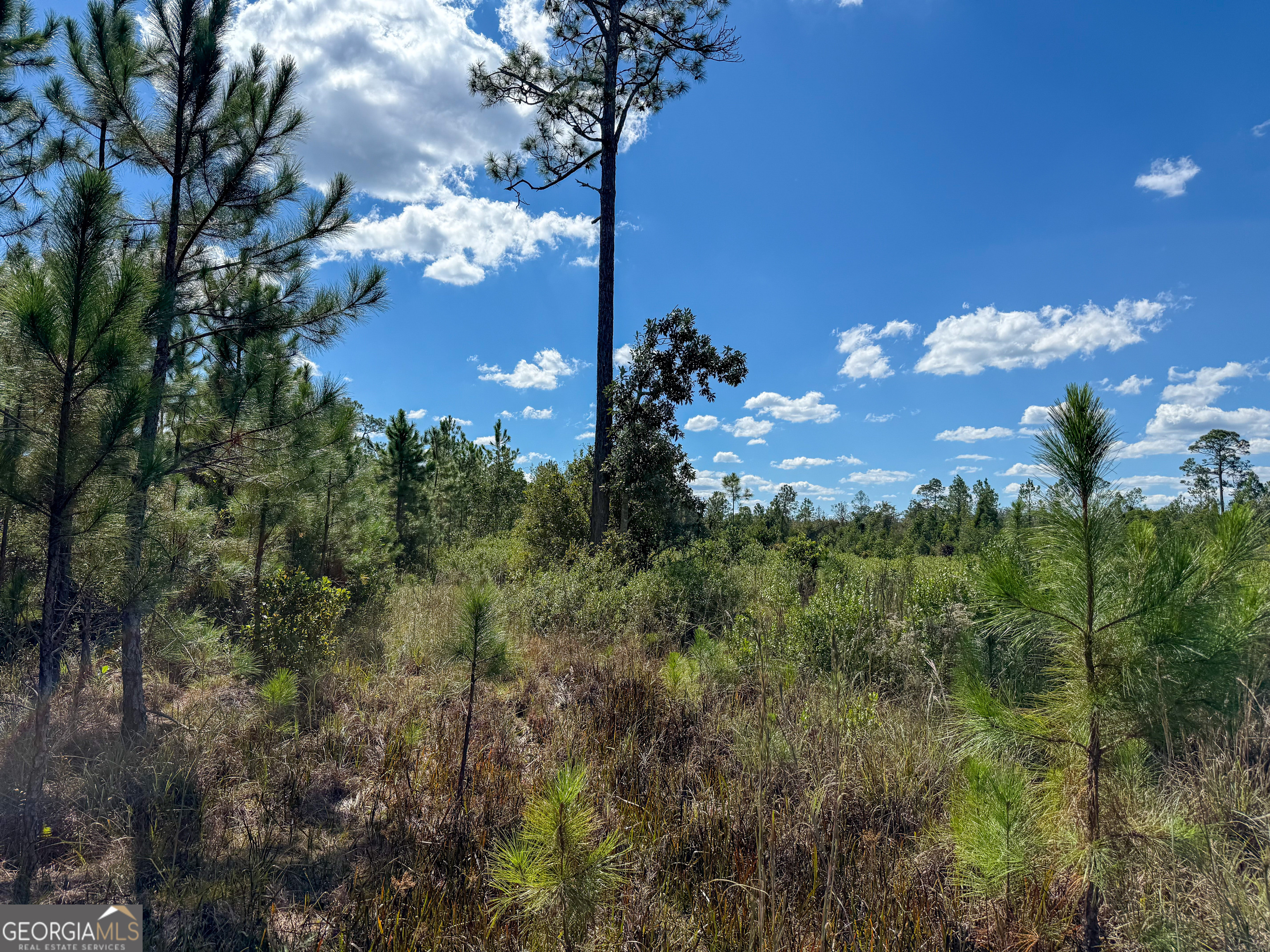 0 Highway 84, Unit 1 Homerville, GA 31634 - Photo 9 of 10 a view of a houses with a yard