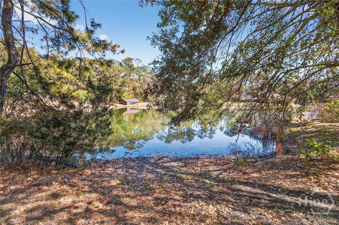 908 Woodpecker Road Savannah, GA 31410 - Photo 51 of 52 Gallery Image 51