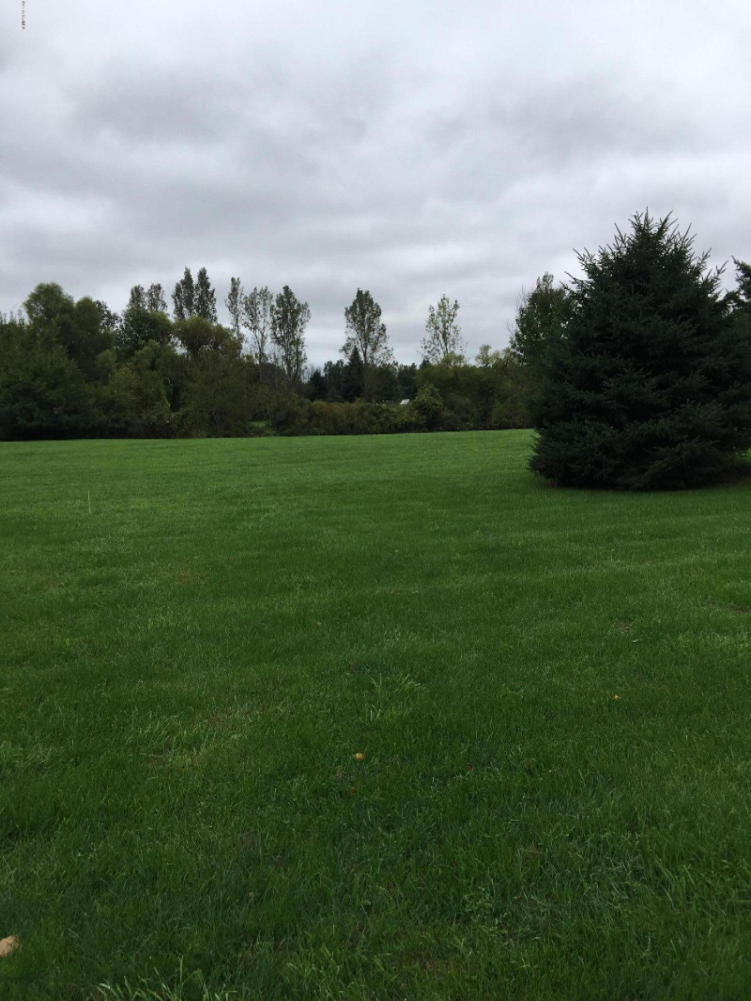 23496 Pinhook Road Mendon, MI 49072 - Photo 2 of 25 IMG_0431