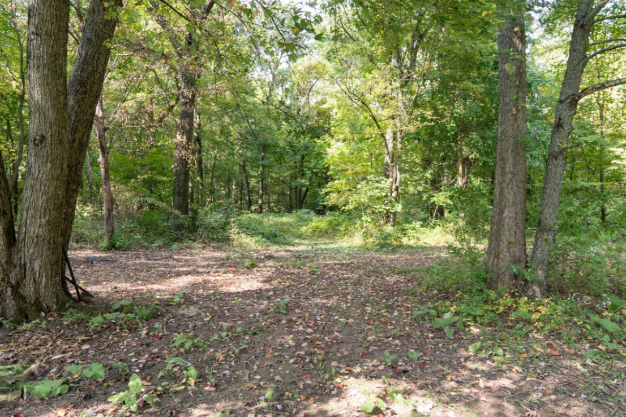 23496 Pinhook Road Mendon, MI 49072 - Photo 23 of 25 Pinhook Rd-21