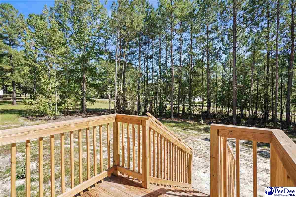 64 Community Road Chesterfield, SC 29709 - Photo 3 of 30 Gallery Image 3