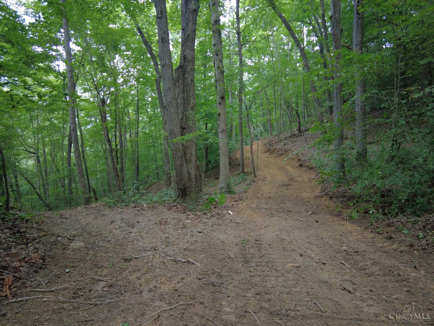 Acres Naces Run Road Stout, OH 45684 - Photo 20 of 32 Gallery Image 20
