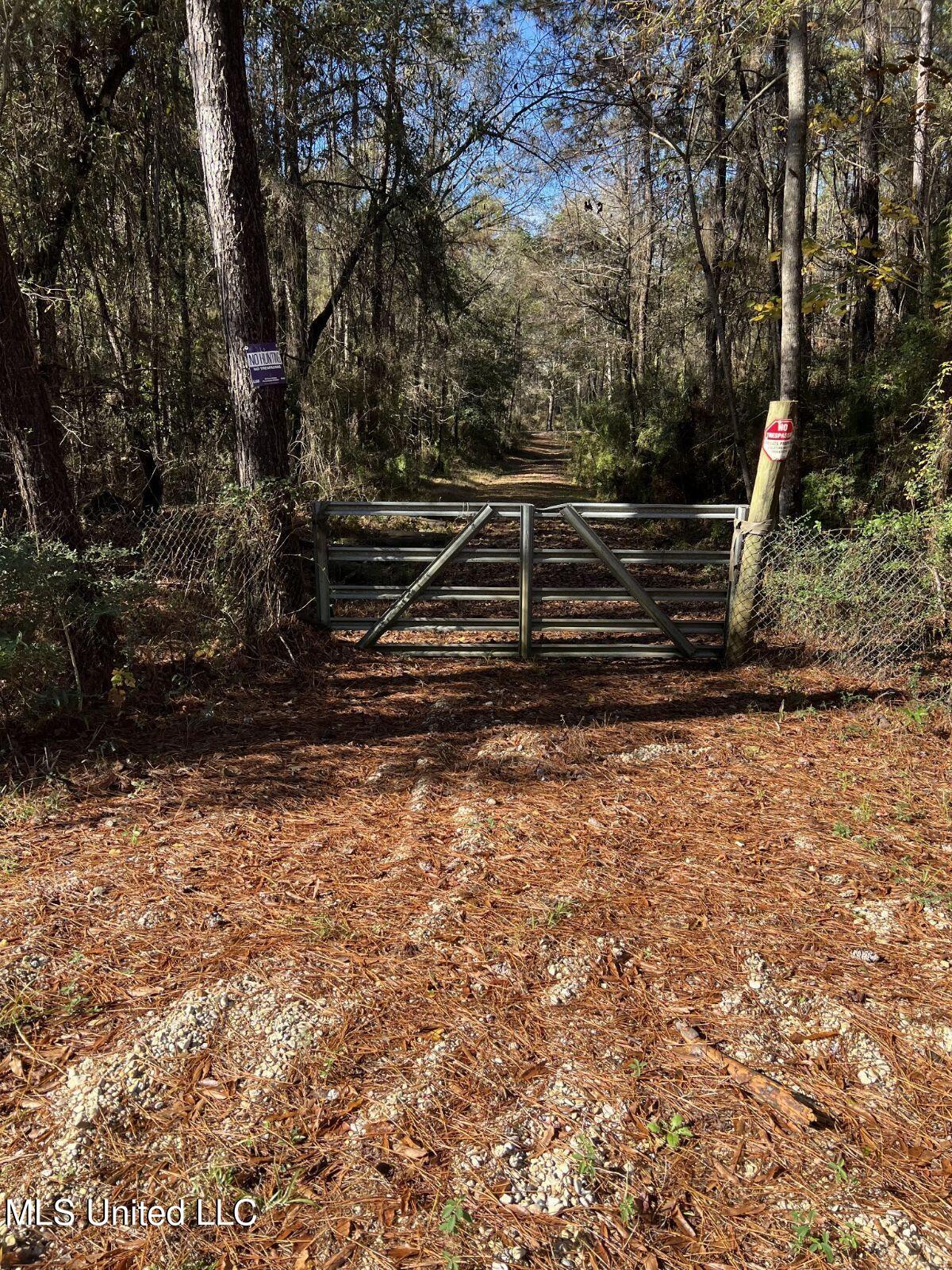 Nhn George Wise Road Carriere, MS 39426 - Photo 1 of 5 3011059800926172380