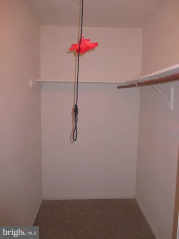 a bathroom with a shower and a toilet
