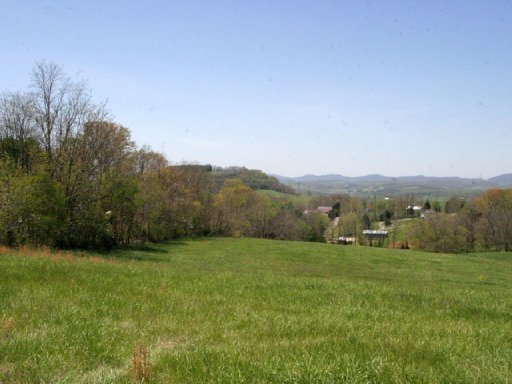 Lot 12 Locust Road Rutledge, TN 37861 - Photo 1 of 11 Primary Photo