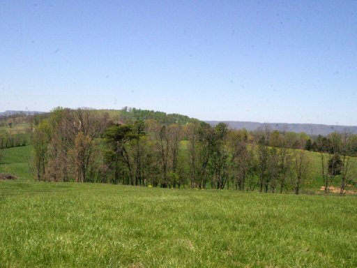 Lot 12 Locust Road Rutledge, TN 37861 - Photo 4 of 11 Additional Photo