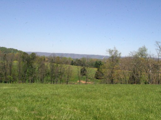 Lot 12 Locust Road Rutledge, TN 37861 - Photo 5 of 11 Additional Photo