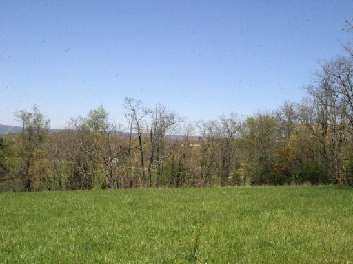 Lot 12 Locust Road Rutledge, TN 37861 - Photo 6 of 11 Additional Photo