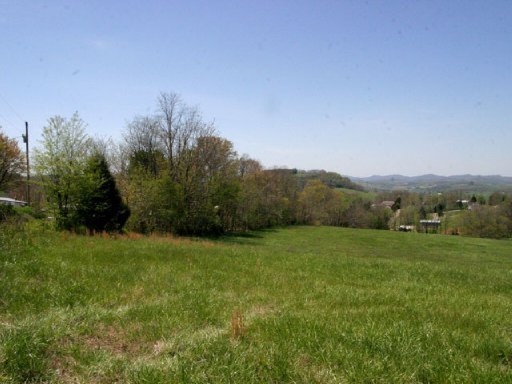 Lot 12 Locust Road Rutledge, TN 37861 - Photo 9 of 11 Additional Photo