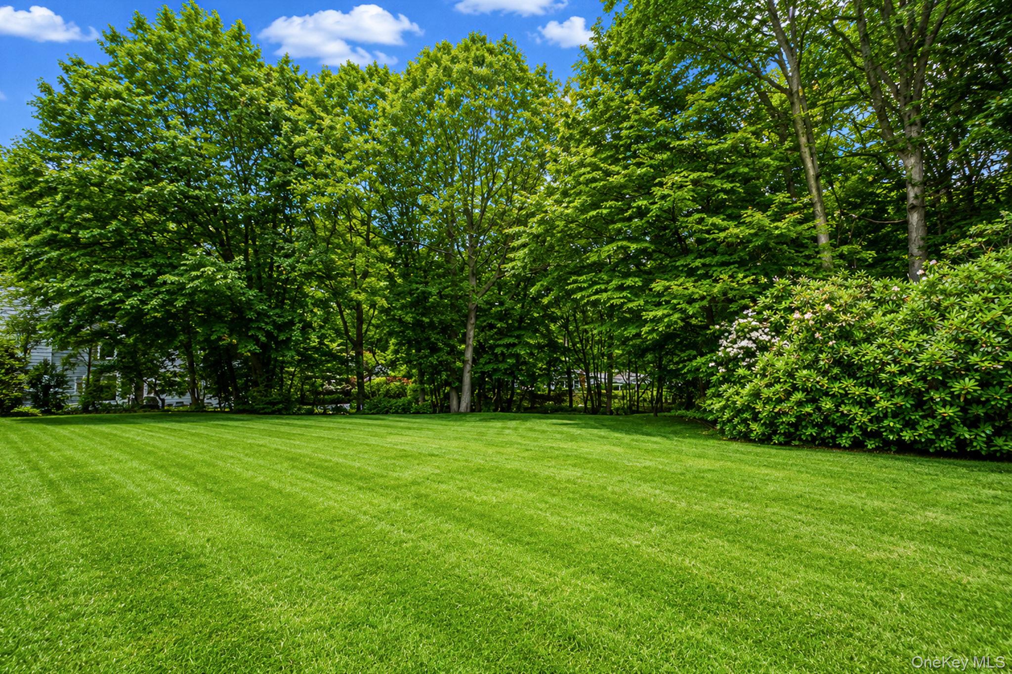 15 Cliff Road Port Jefferson, NY 11777 - Photo 31 of 38 Gallery Image 31