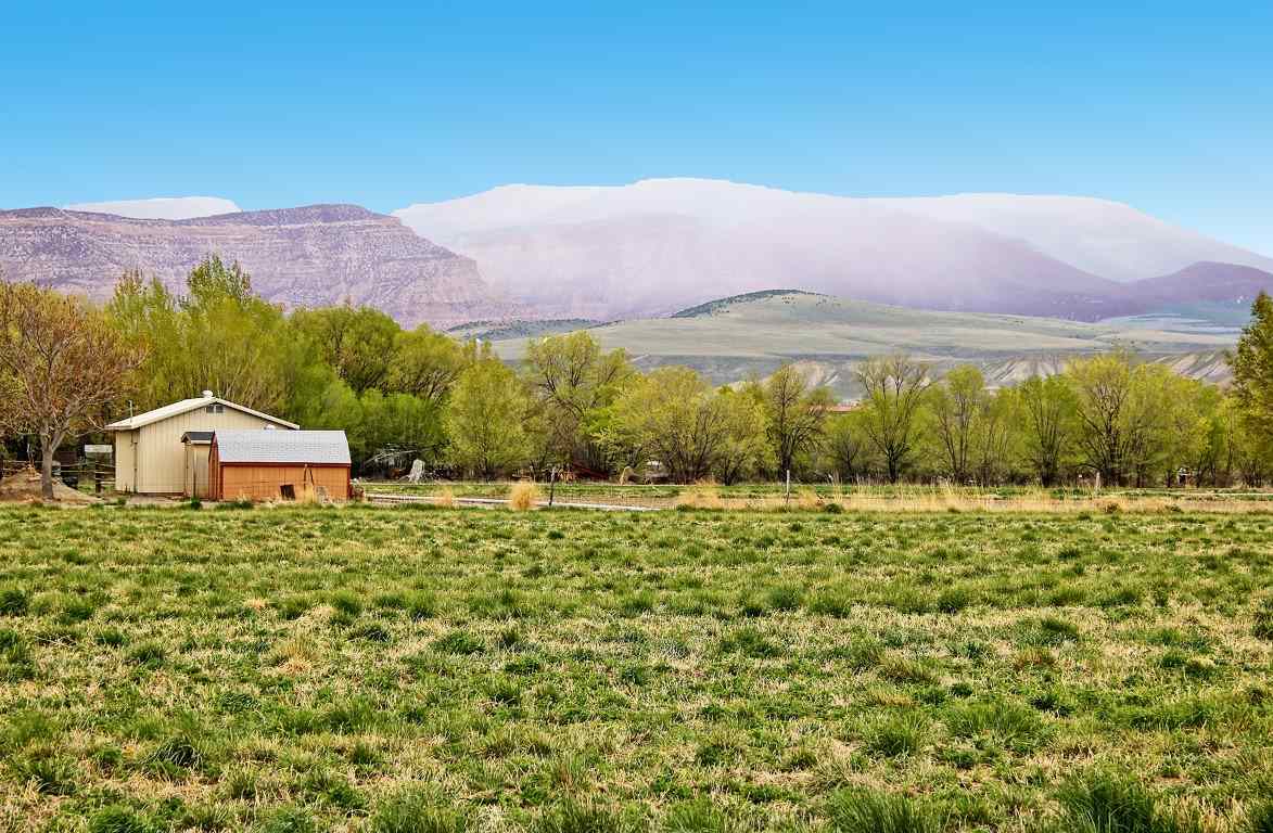 3431 F Road Clifton, CO 81520 - Photo 4 of 33 Gallery Image 4