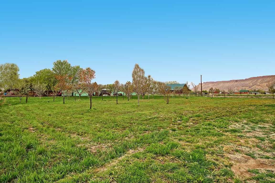 3431 F Road Clifton, CO 81520 - Photo 10 of 33 Gallery Image 10