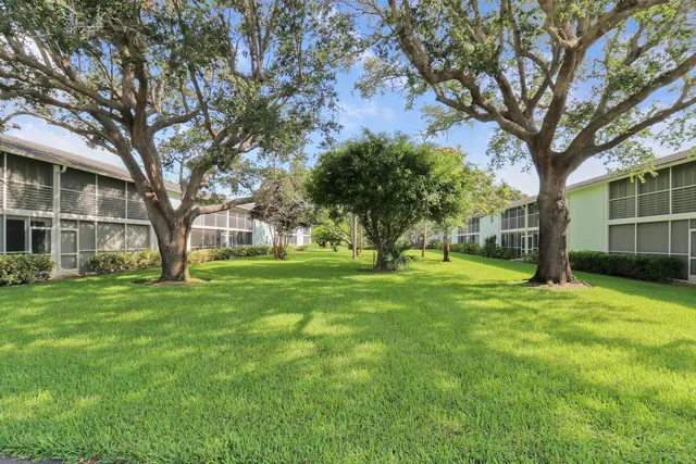 a view of a tree in front of a house