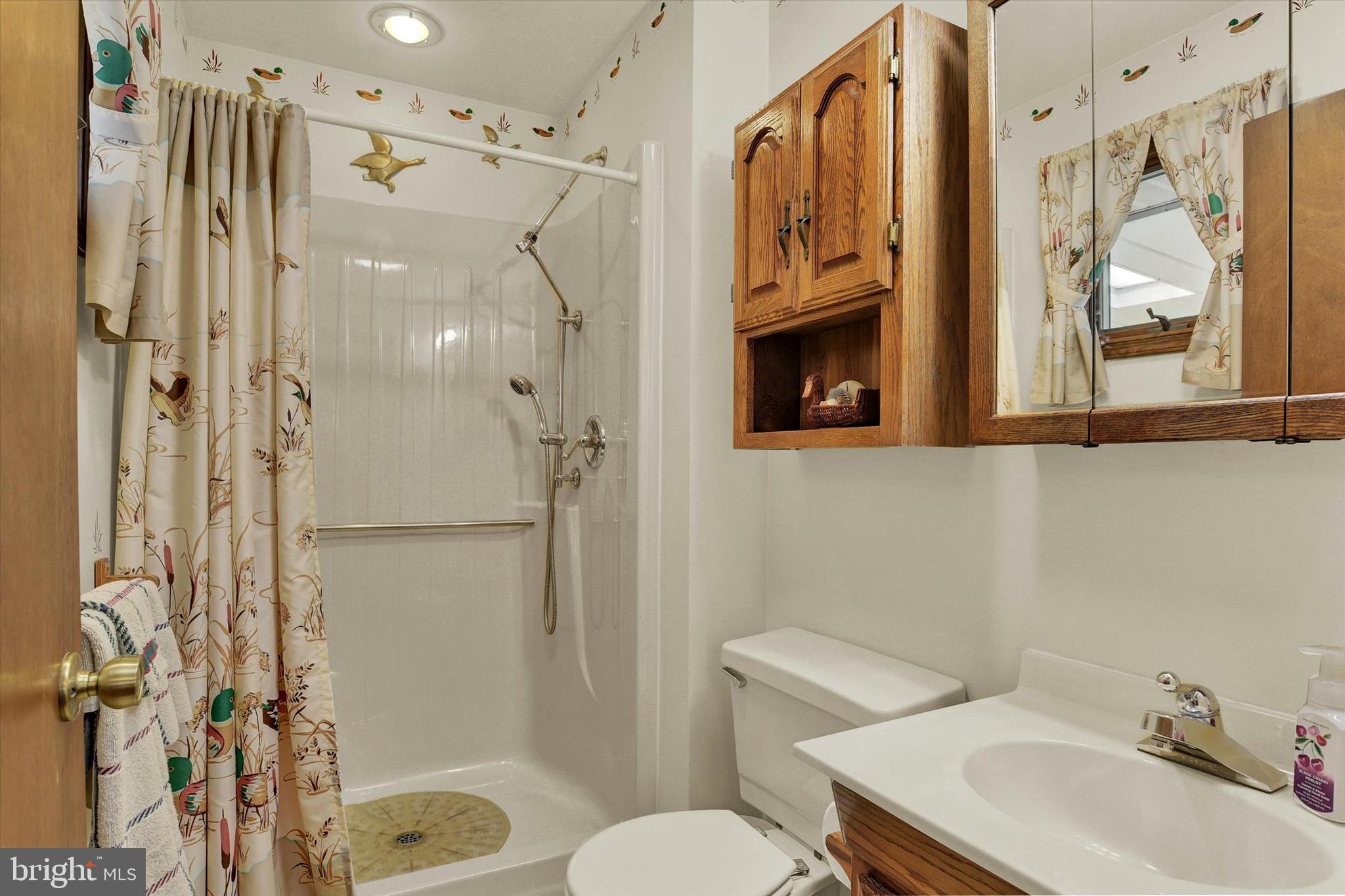 1805 Briarcreek Lane Middletown, PA 17057 - Photo 19 of 25 Primary Bath