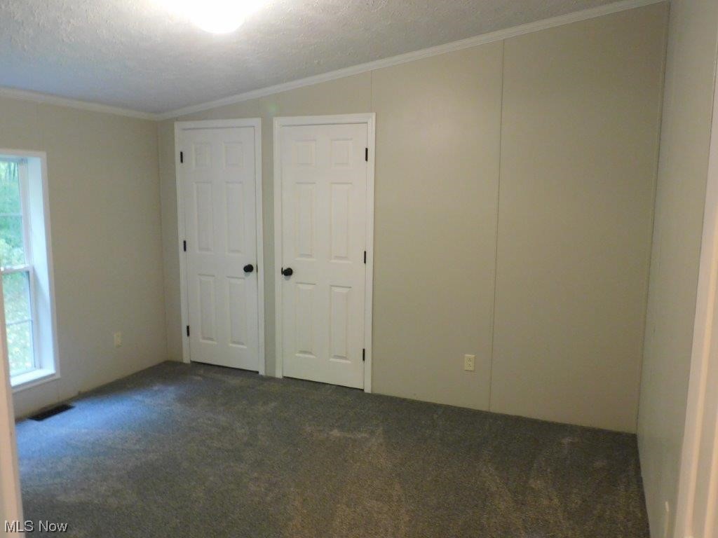 6045 Gore Road Ashtabula, OH 44004 - Photo 21 of 23 Bedroom 2 featuring a textured ceiling, a wealth of natural light, and lofted ceiling