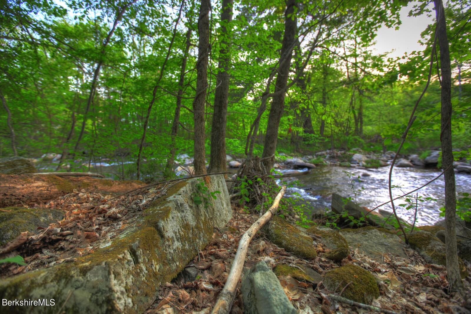5 South Beech Plain Road Sandisfield, MA 01255 - Photo 22 of 36 a backyard of a house with lots of green space
