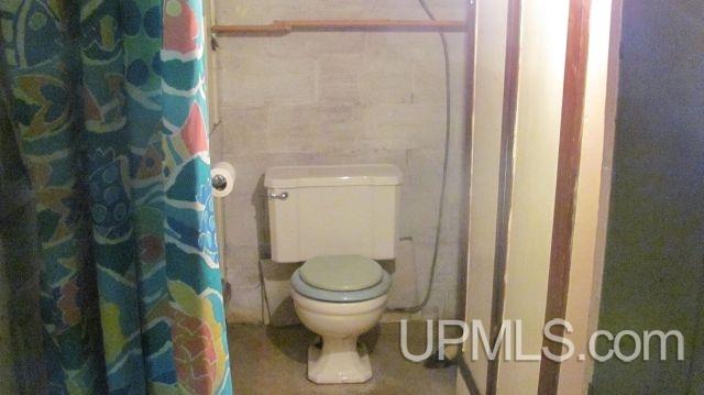 630 Lake Road Norway, MI 49870 - Photo 4 of 20 Gallery Image 4