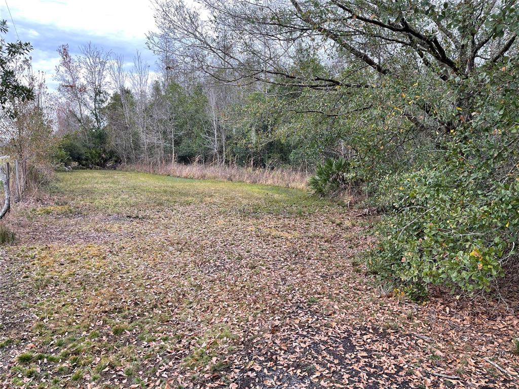 10111 Moore Road Lakeland, FL 33809 - Photo 33 of 43 MORE LAND!!!