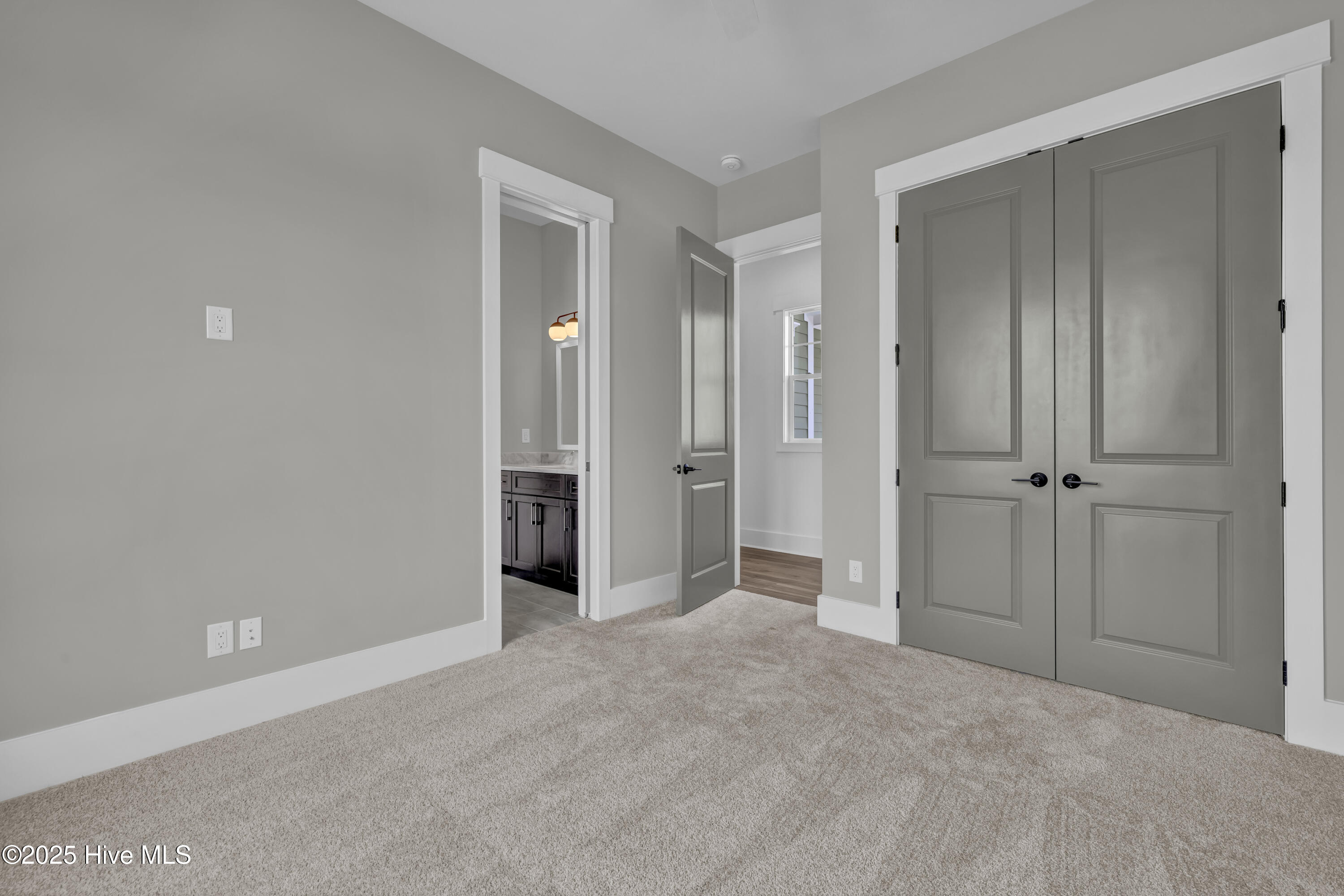 357 Planters Walk Hampstead, NC 28443 - Photo 41 of 62 Look at those painted doors