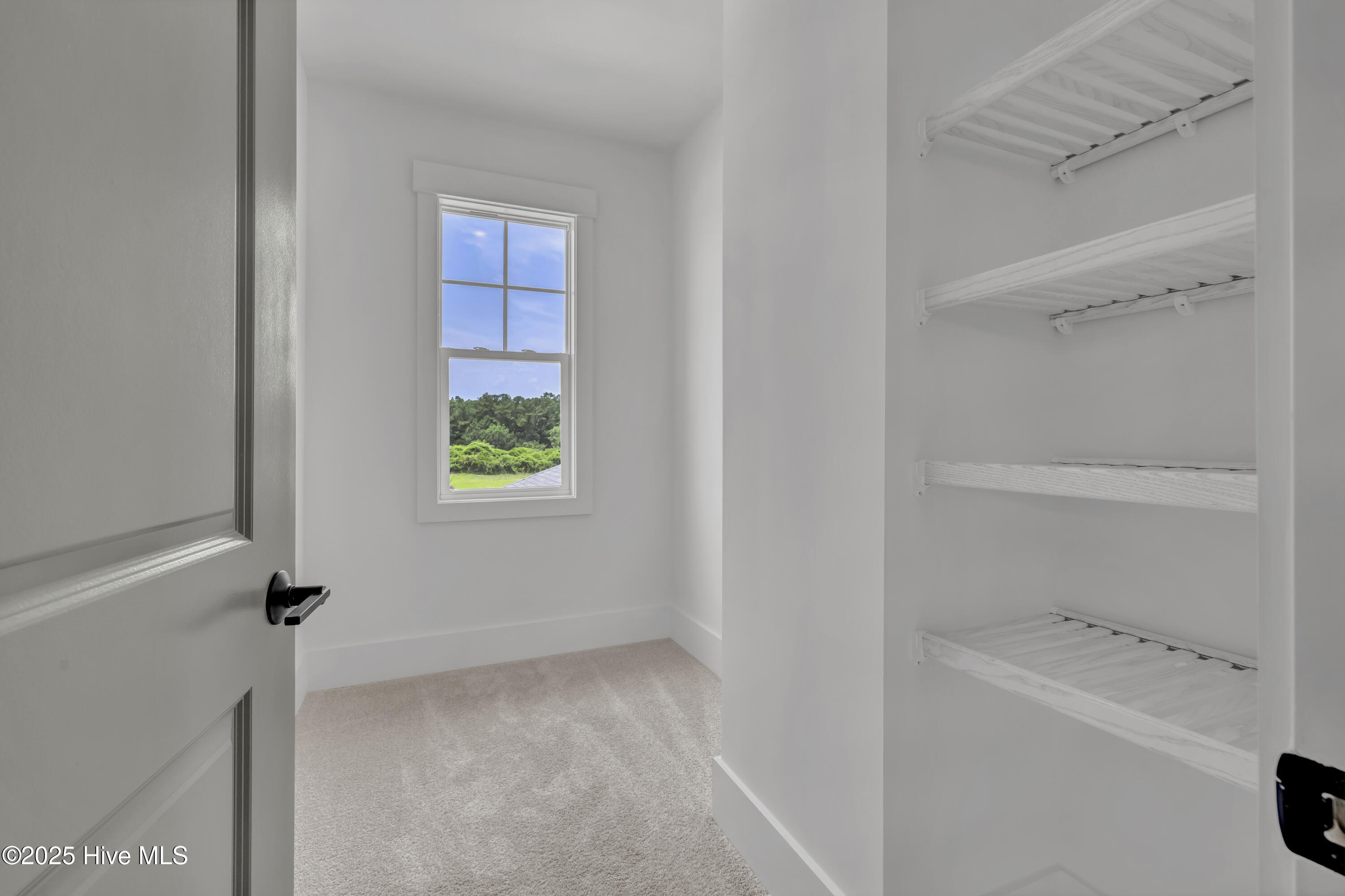 357 Planters Walk Hampstead, NC 28443 - Photo 52 of 62 Shelving and closets and windows, oh my!