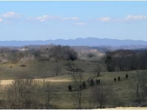 Lot 10 Buckingham Road, Unit 10B Johnson City, TN 37615 - Photo 2 of 9 Highest Point in SD Best View