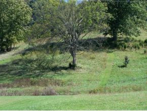 Lot 10 Buckingham Road, Unit 10B Johnson City, TN 37615 - Photo 3 of 9 Photo 3