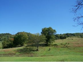 Lot 10 Buckingham Road, Unit 10B Johnson City, TN 37615 - Photo 4 of 9 Photo 4