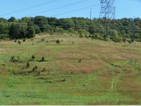 Lot 10 Buckingham Road, Unit 10B Johnson City, TN 37615 - Photo 6 of 9 Photo 6