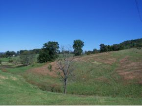 Lot 10 Buckingham Road, Unit 10B Johnson City, TN 37615 - Photo 7 of 9 Photo 7